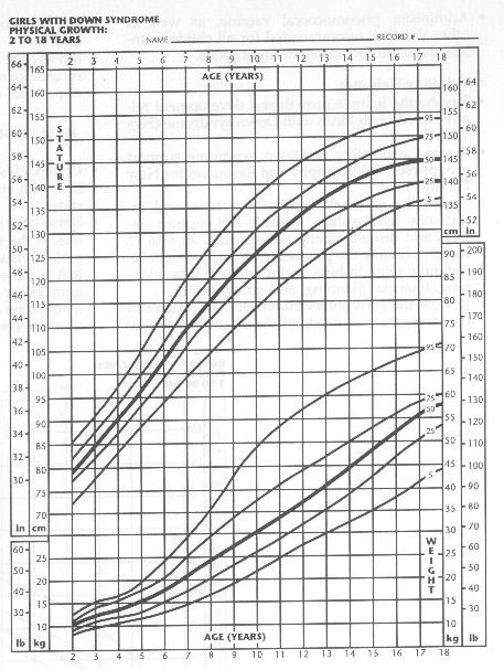 fig2.jpg (79012 bytes)