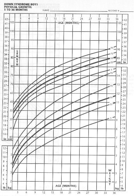 fig3.jpg (80058 bytes)